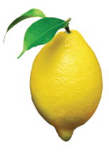 Lemon Lemon